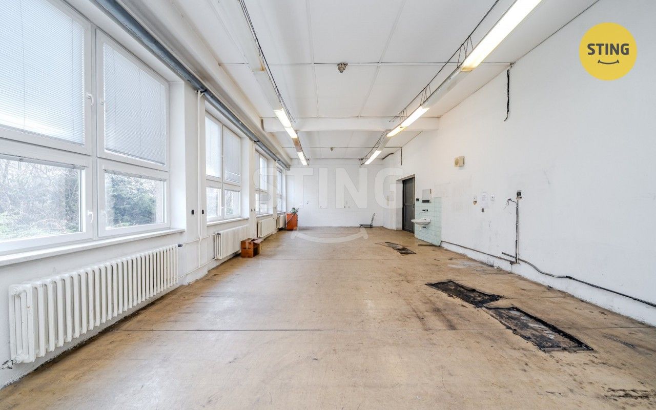 Pronájem nemovitosti 556 m² - foto 2