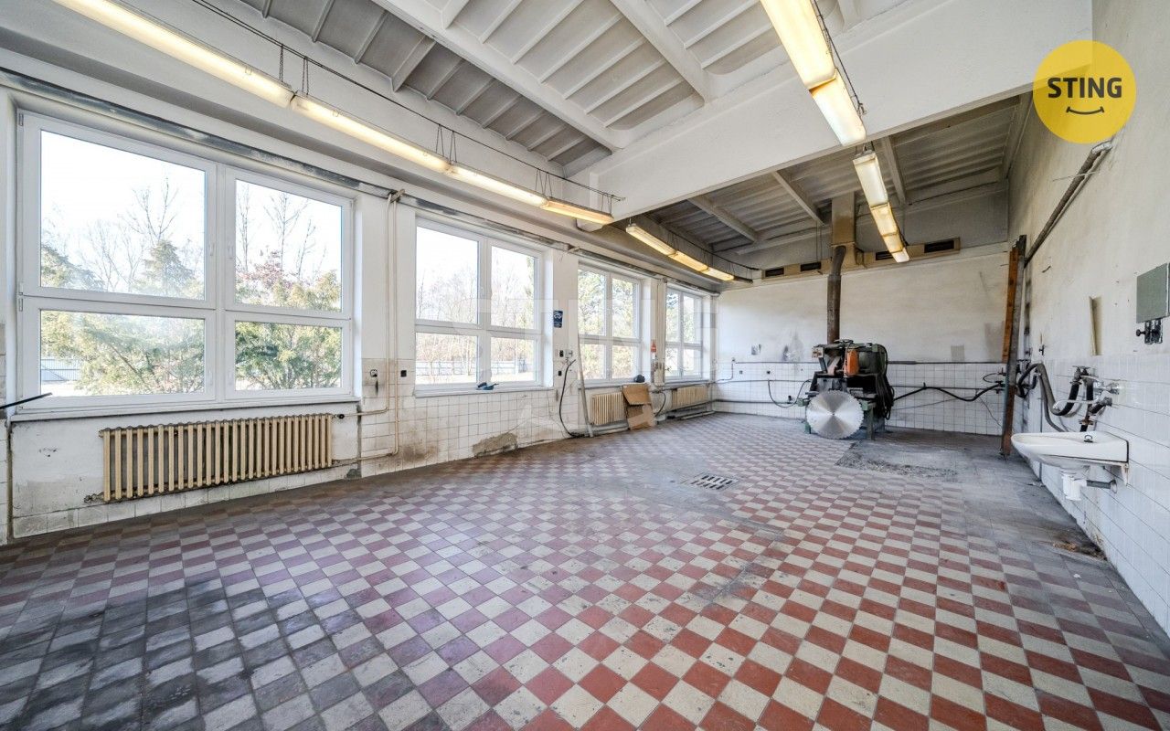 Pronájem nemovitosti 556 m² - foto 7