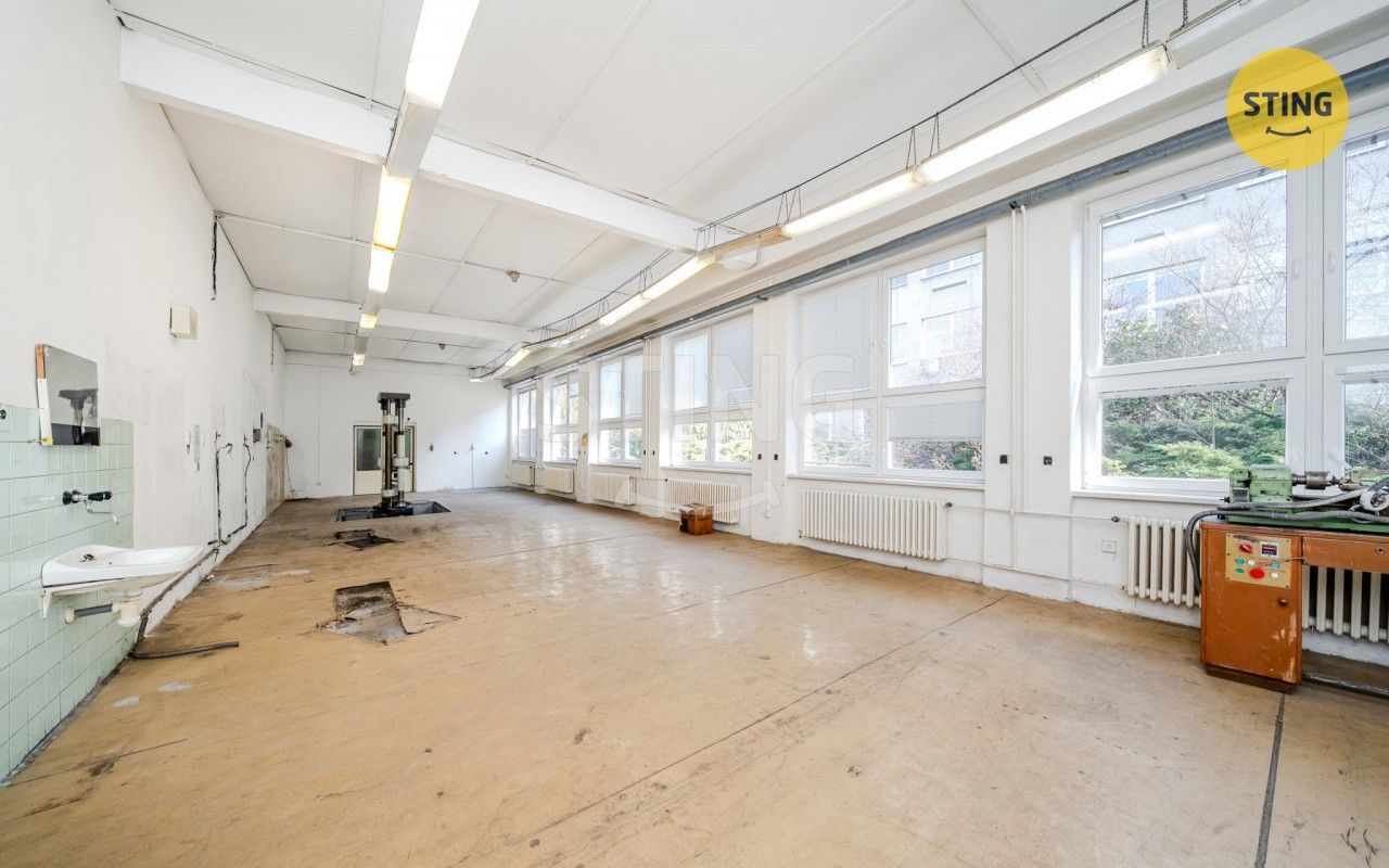 Pronájem nemovitosti 556 m² - foto 1