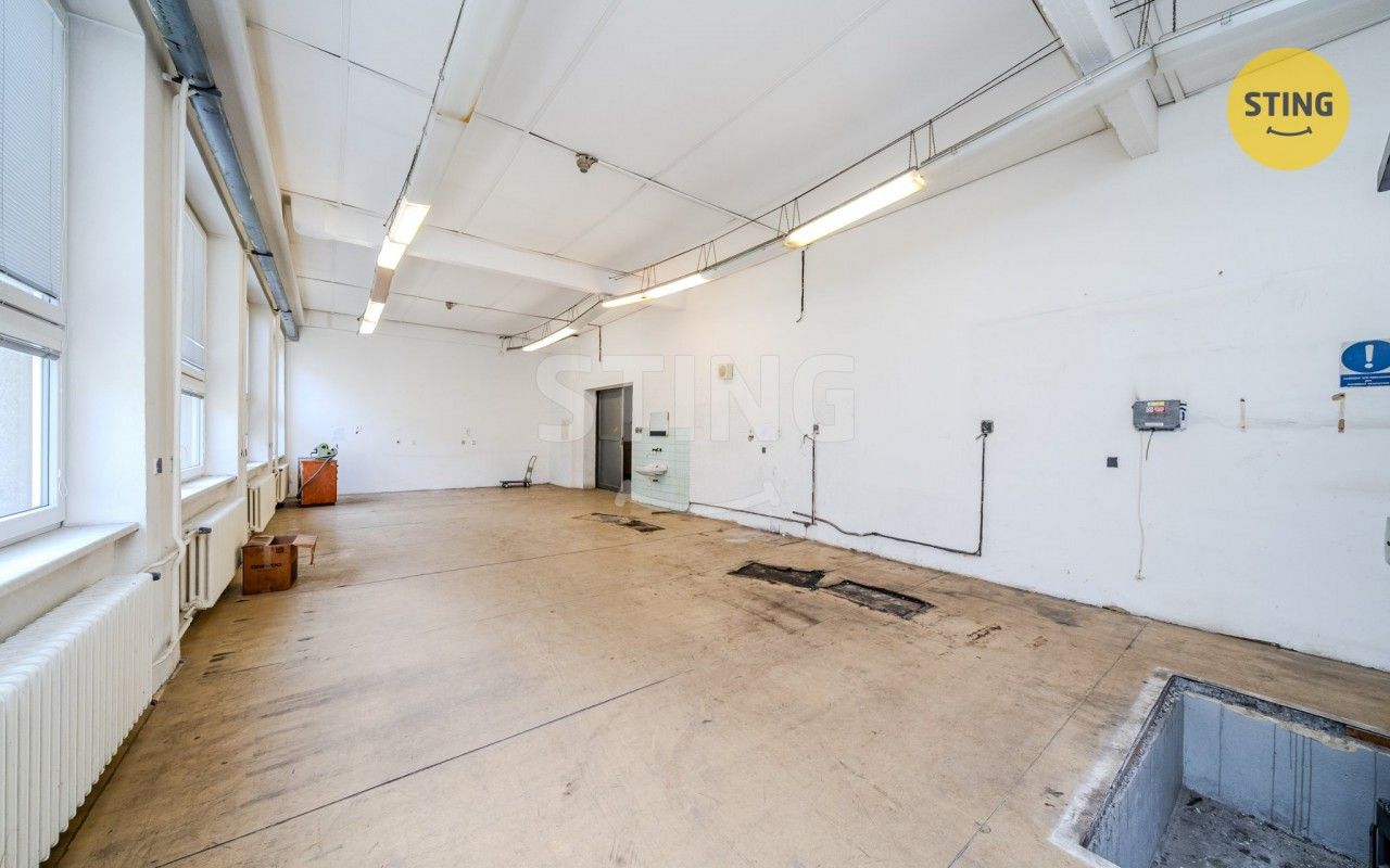 Pronájem nemovitosti 556 m² - foto 5