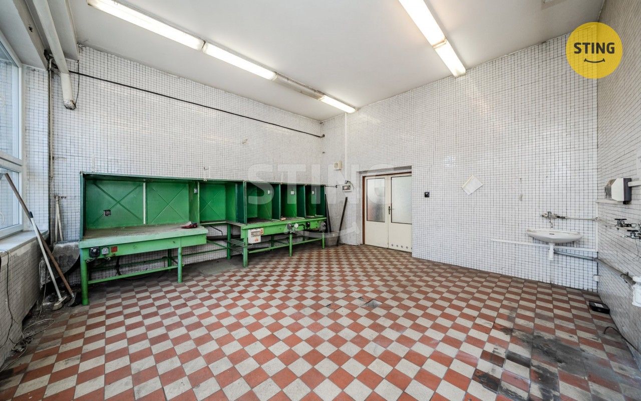 Pronájem nemovitosti 556 m² - foto 4