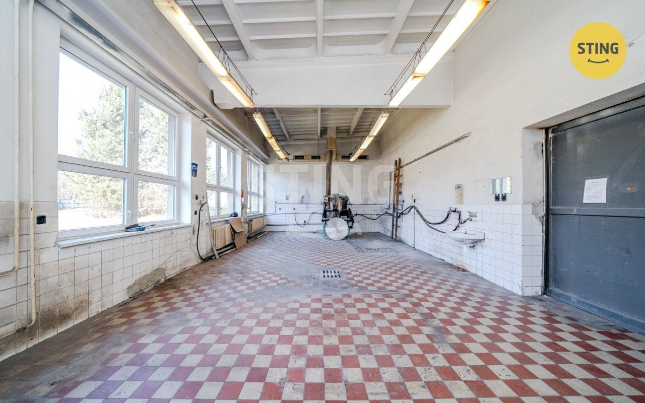 Pronájem nemovitosti 556 m² - foto 6