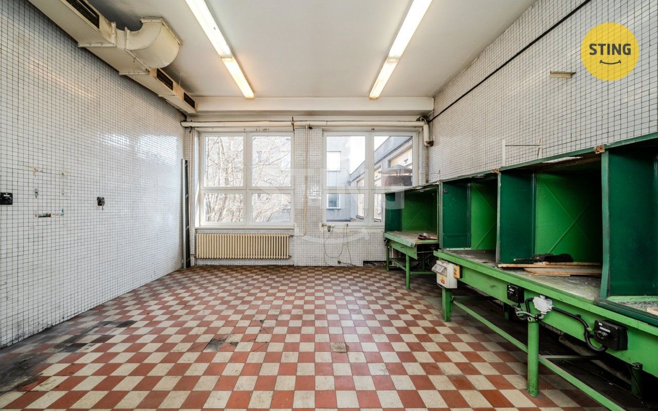 Pronájem nemovitosti 556 m² - foto 3