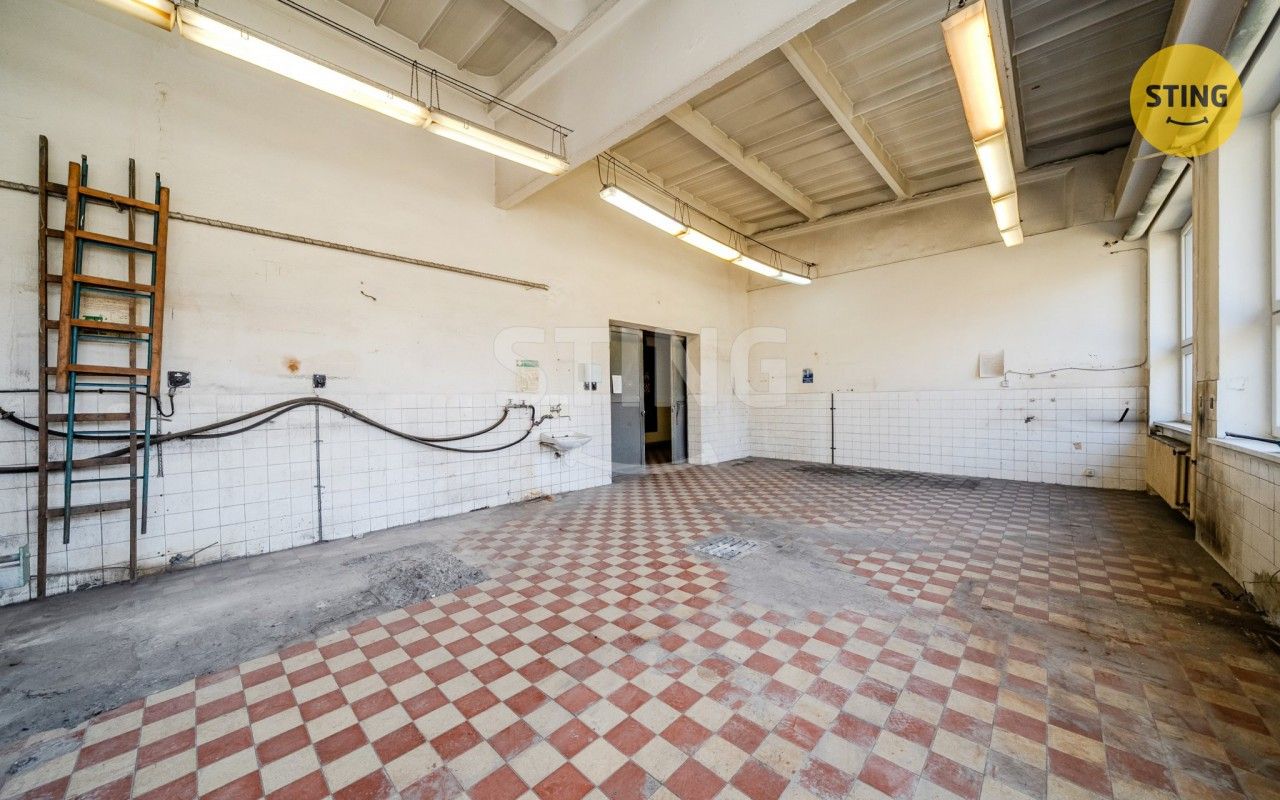 Pronájem nemovitosti 556 m² - foto 8