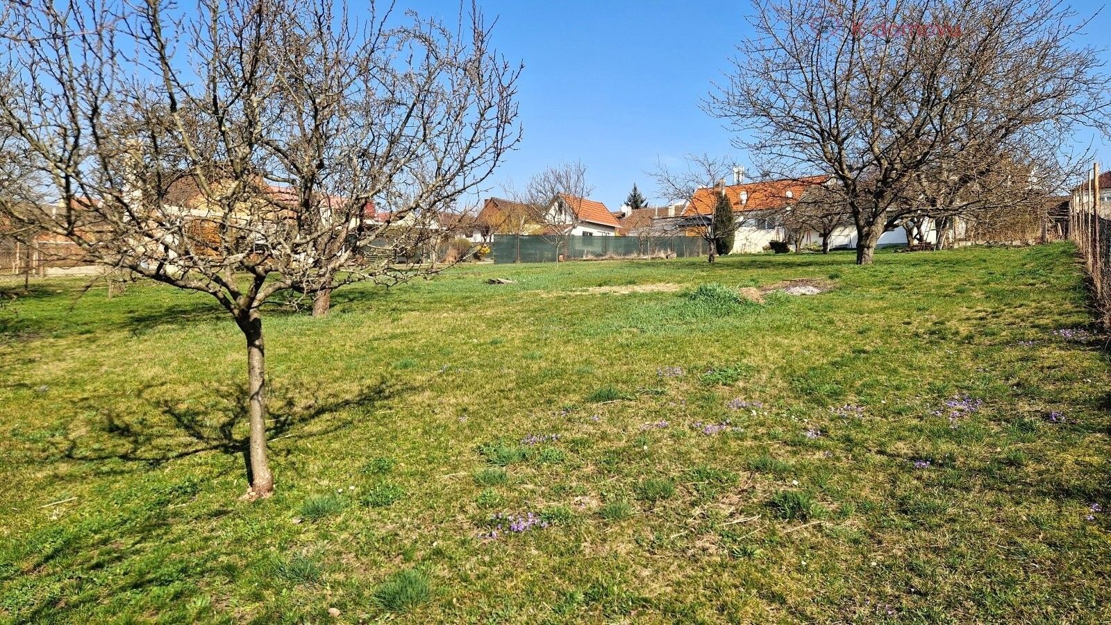 Prodej pozemku 1755 m² - foto 4