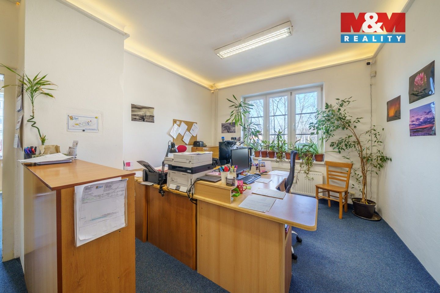 Prodej komerčního prostoru 760 m² - foto 23