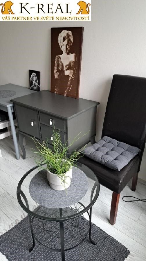 Pronájem bytu 1+kk 24 m² - foto 2