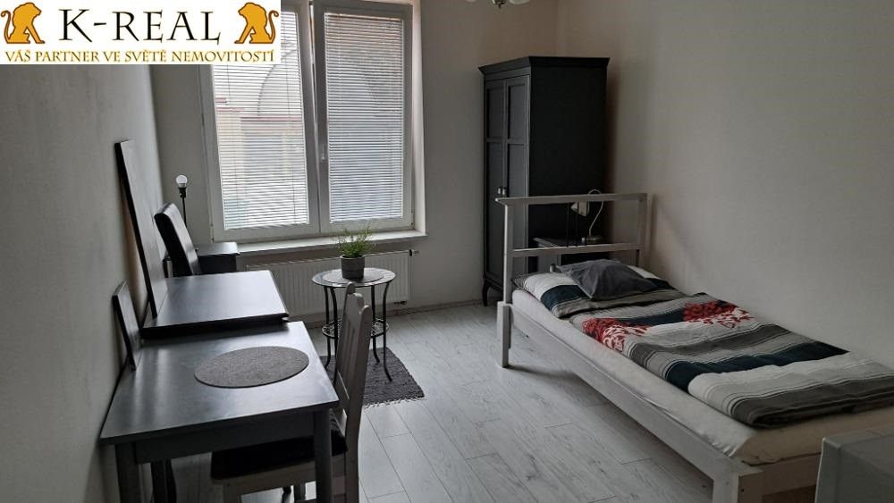 Pronájem bytu 1+kk 24 m² - foto 1