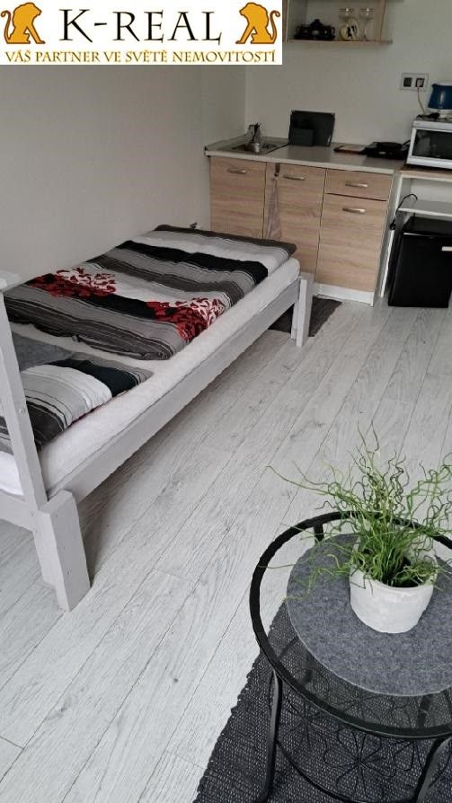 Pronájem bytu 1+kk 24 m² - foto 5