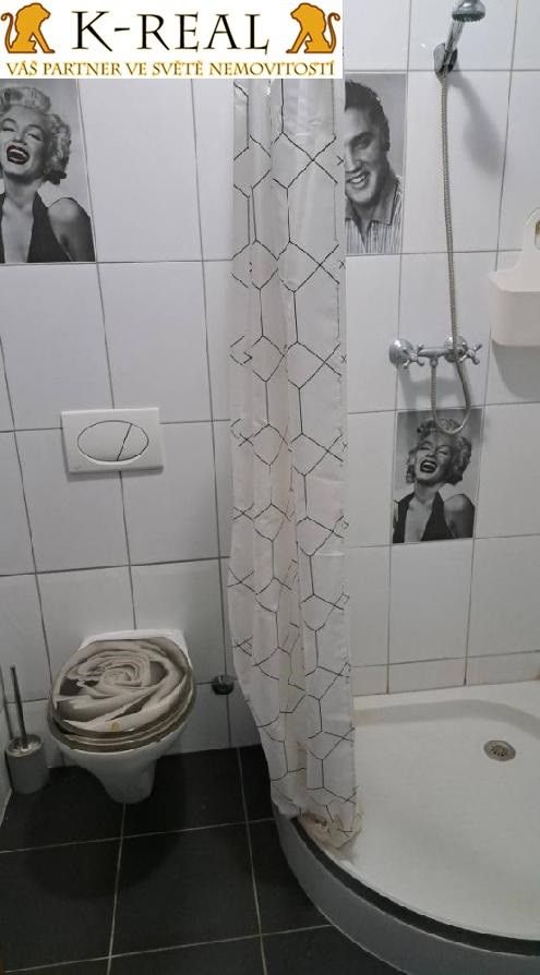 Pronájem bytu 1+kk 24 m² - foto 6