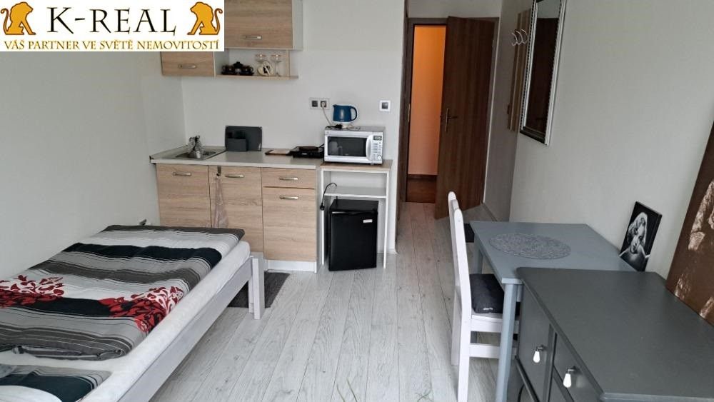 Pronájem bytu 1+kk 24 m² - foto 3