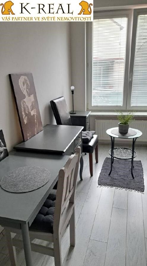 Pronájem bytu 1+kk 24 m² - foto 7