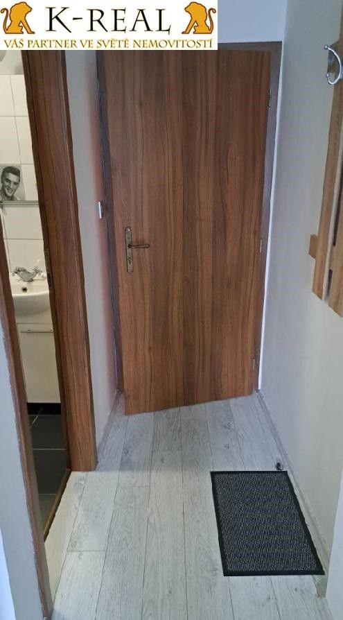 Pronájem bytu 1+kk 24 m² - foto 10