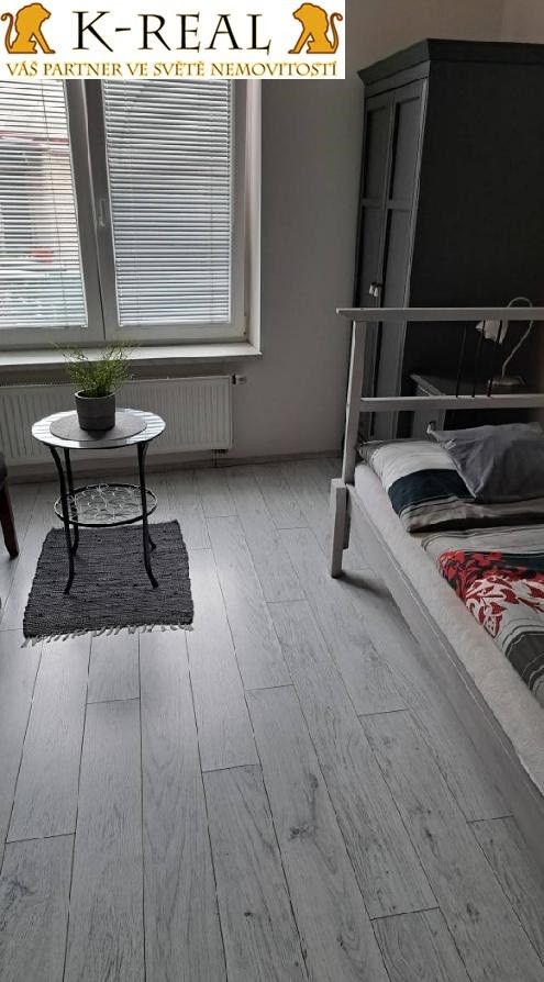 Pronájem bytu 1+kk 24 m² - foto 9