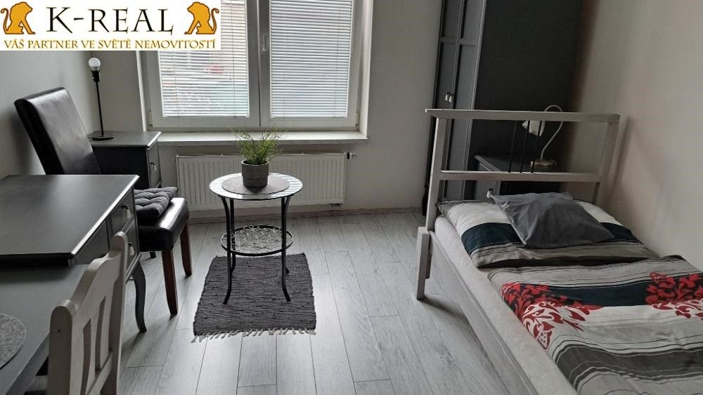 Pronájem bytu 1+kk 24 m² - foto 11