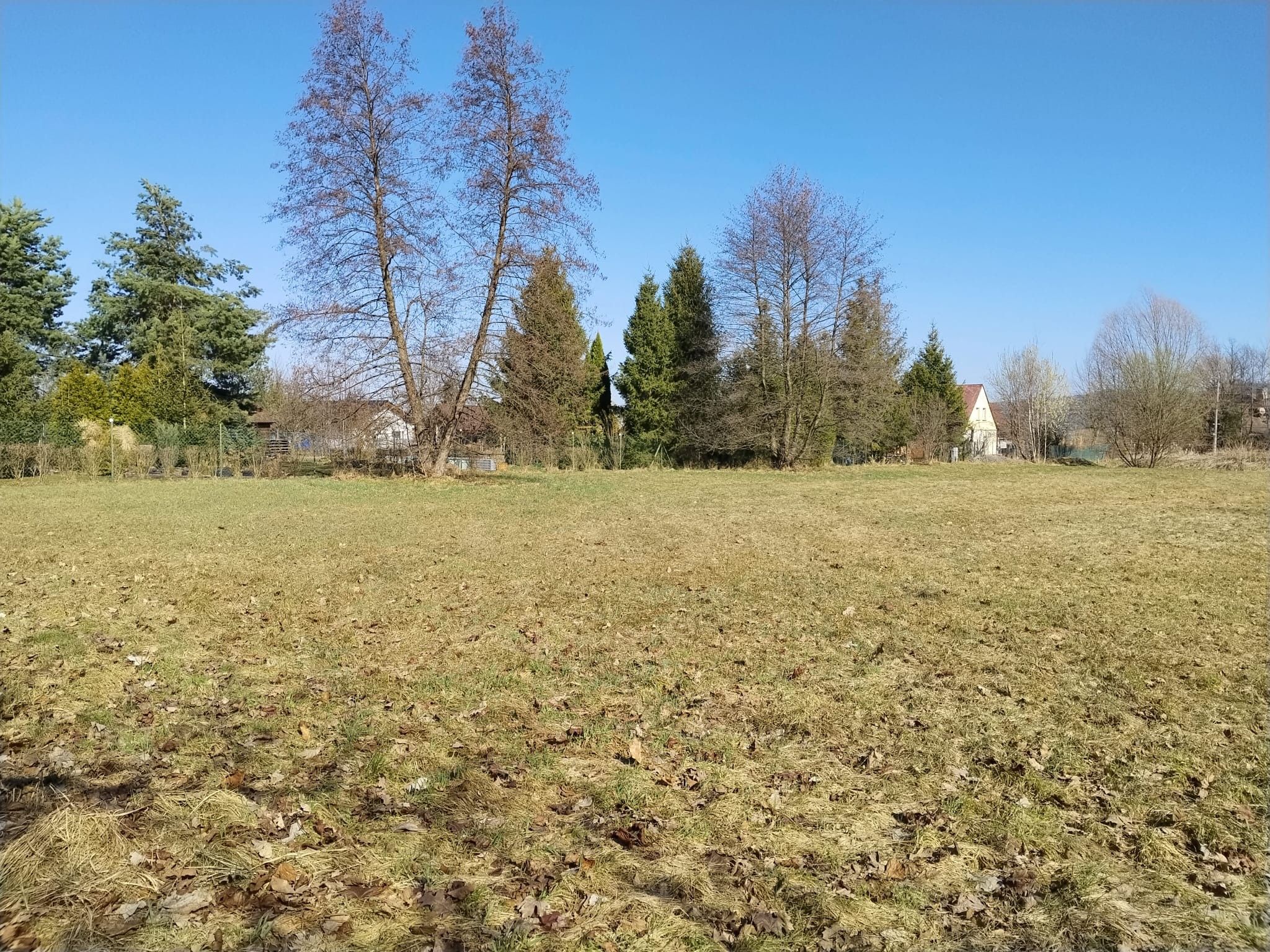 Prodej pozemku 1388 m² - foto 4