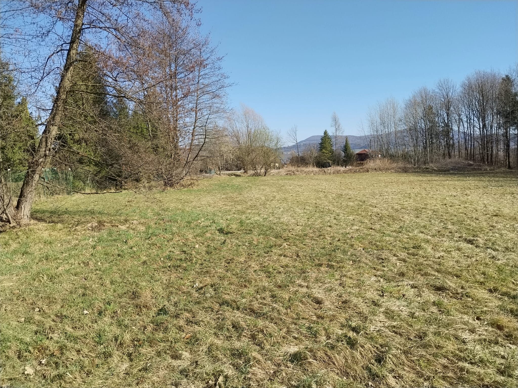 Prodej pozemku 1388 m² - foto 6