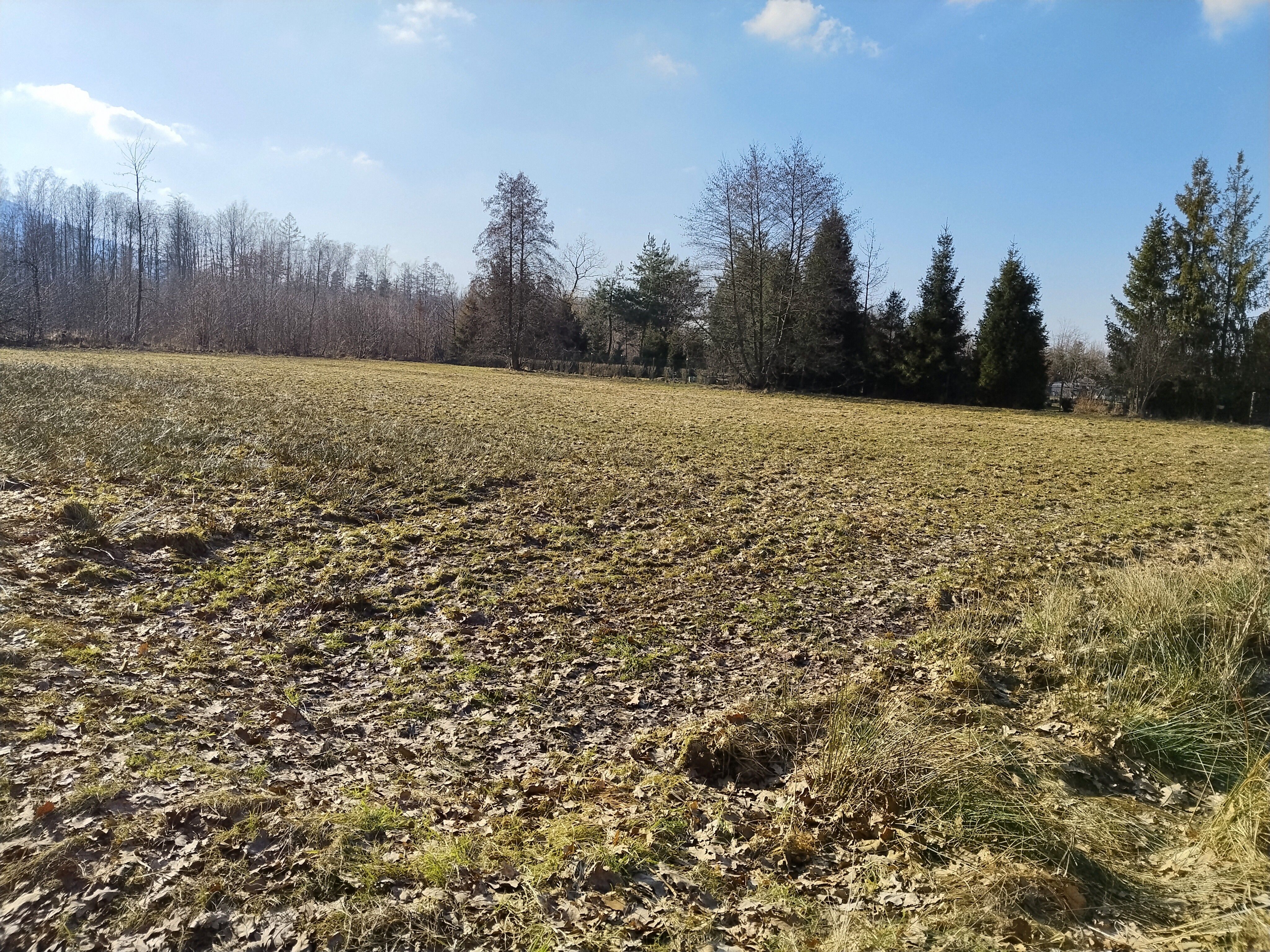 Prodej pozemku 1388 m² - foto 1