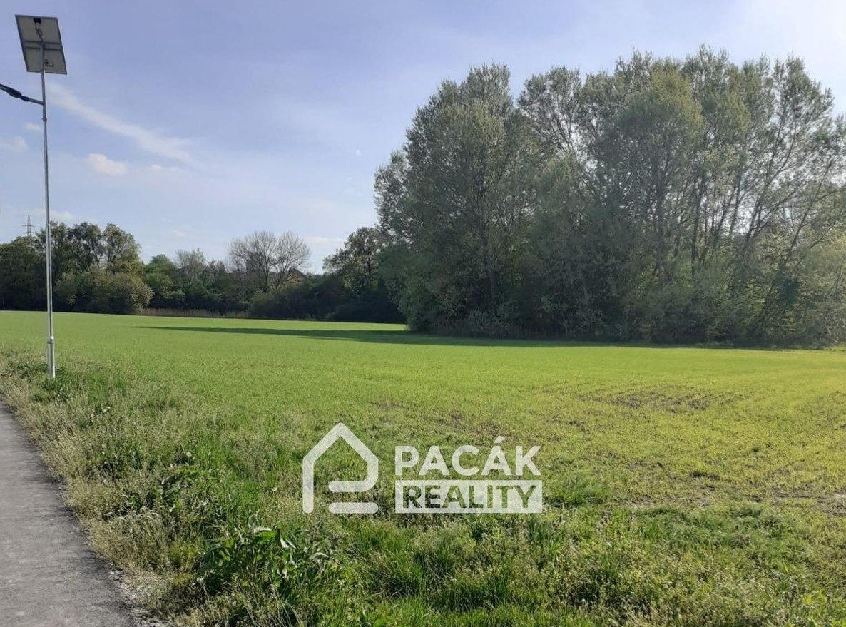 Prodej pozemku 15995 m² - foto 3
