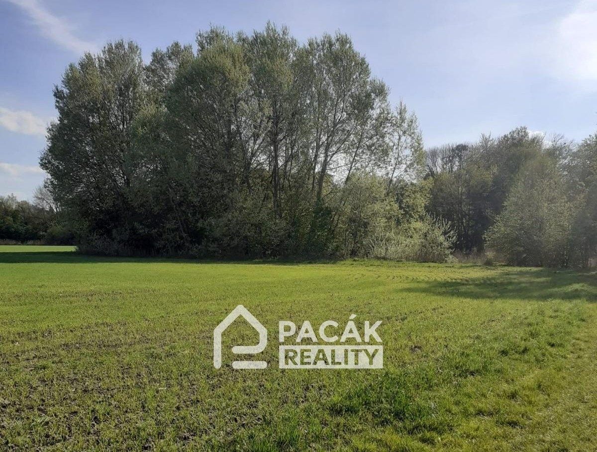 Prodej pozemku 15995 m² - foto 6