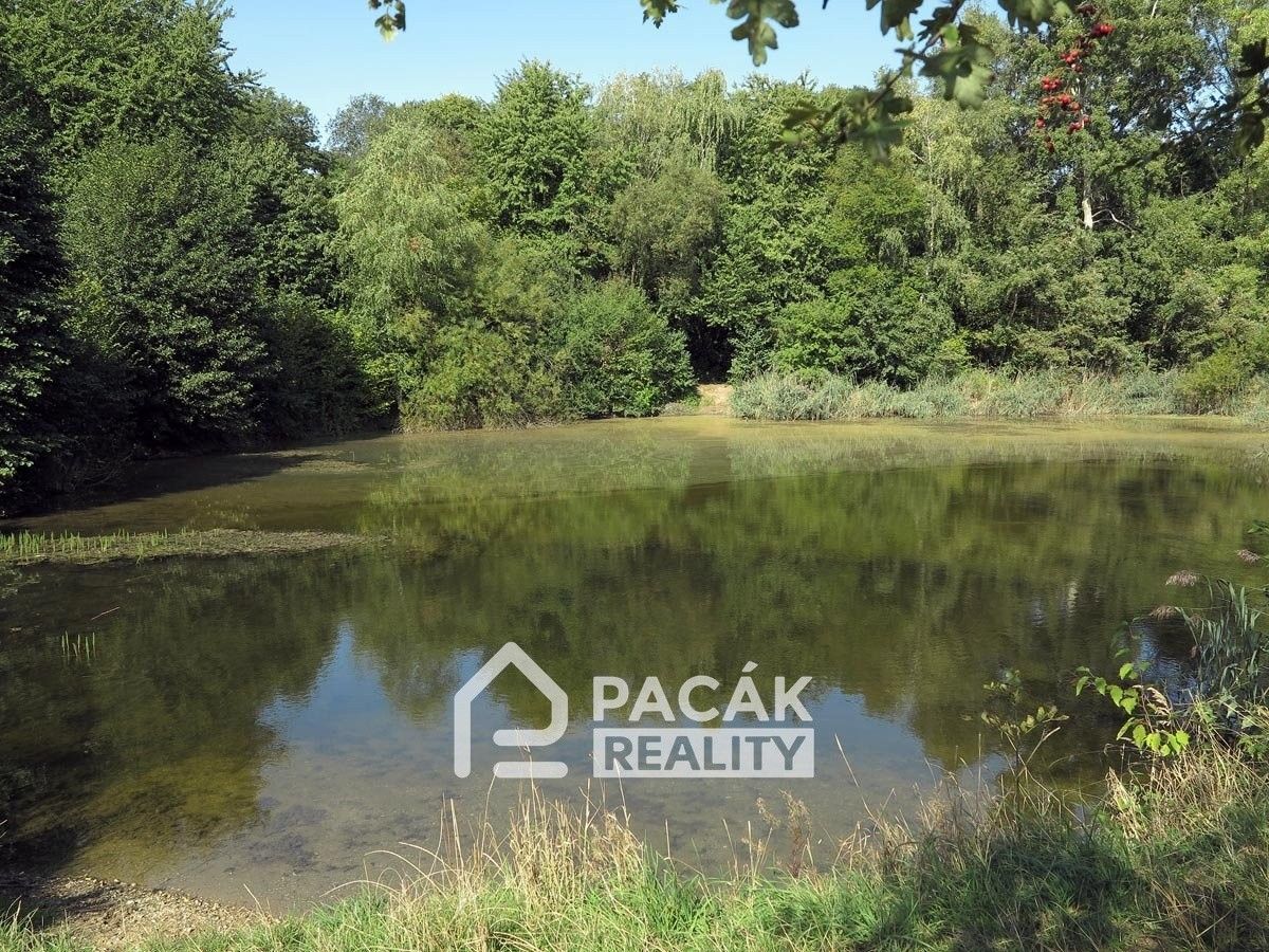 Prodej pozemku 15995 m² - foto 4