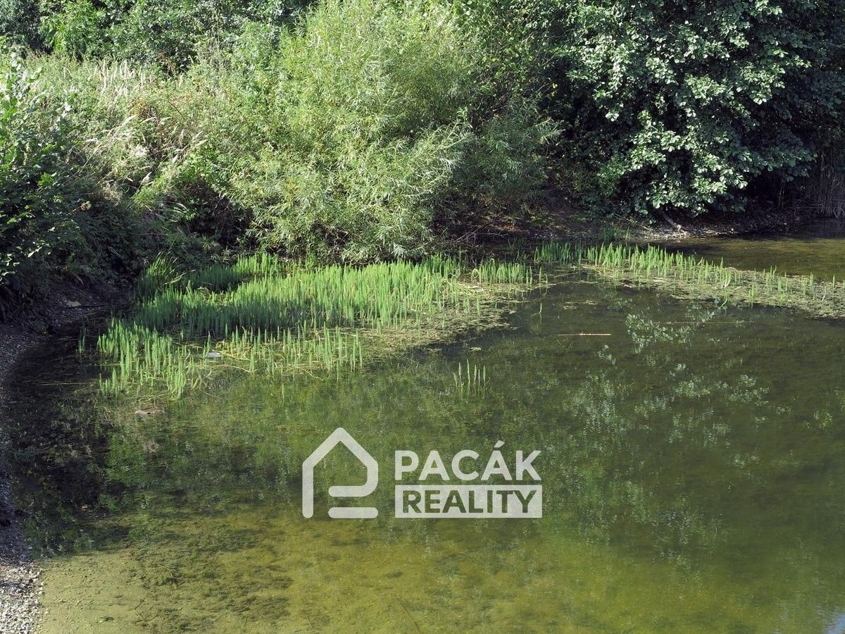 Prodej pozemku 15995 m² - foto 7
