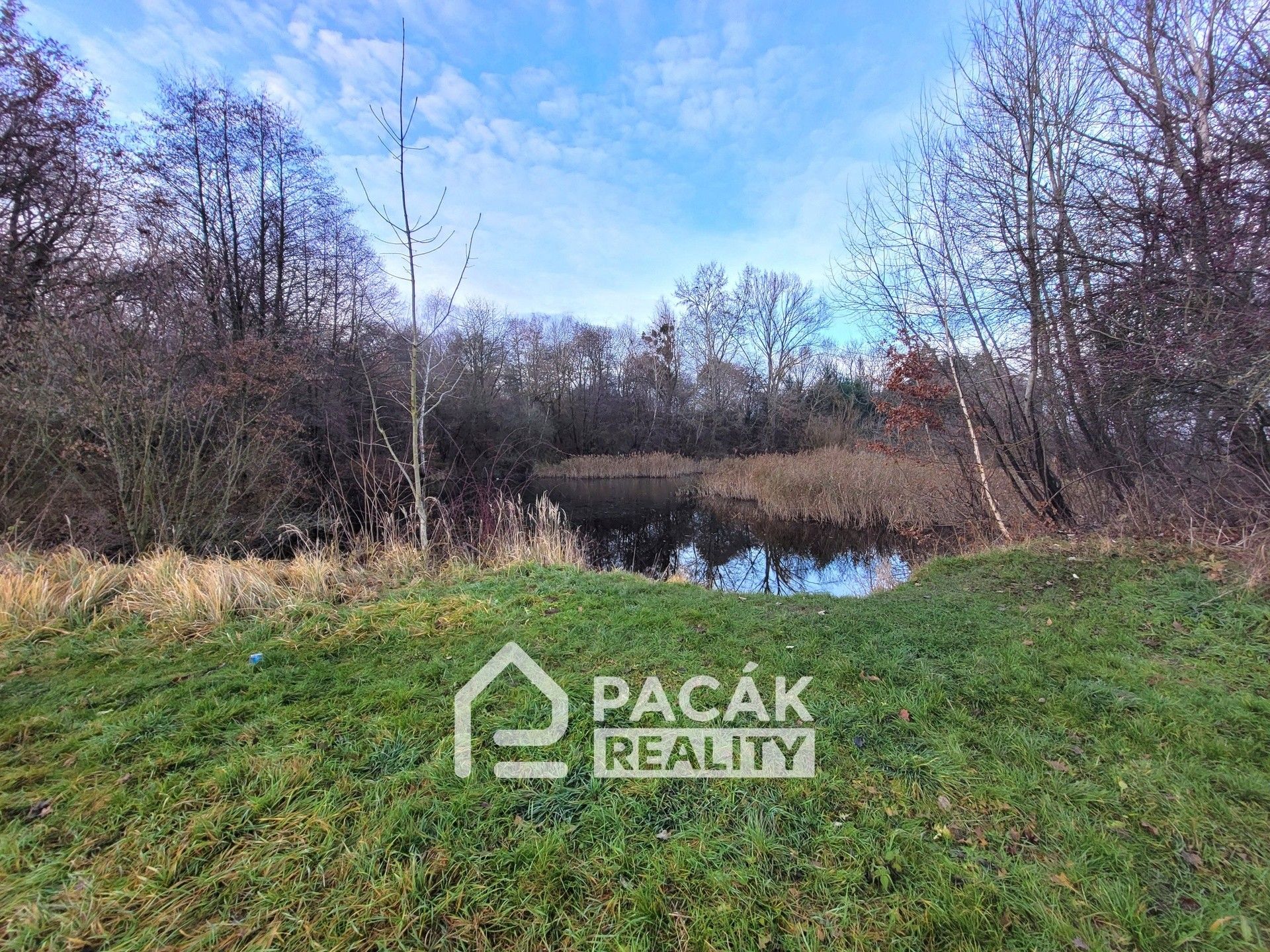 Prodej pozemku 15995 m² - foto 8