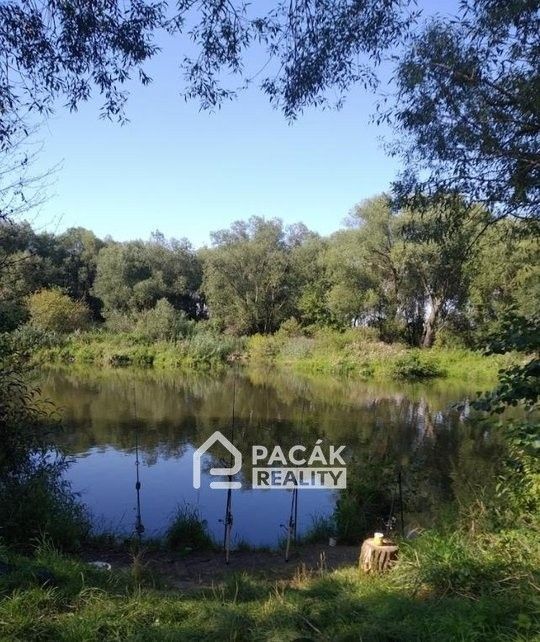 Prodej pozemku 15995 m² - foto 9
