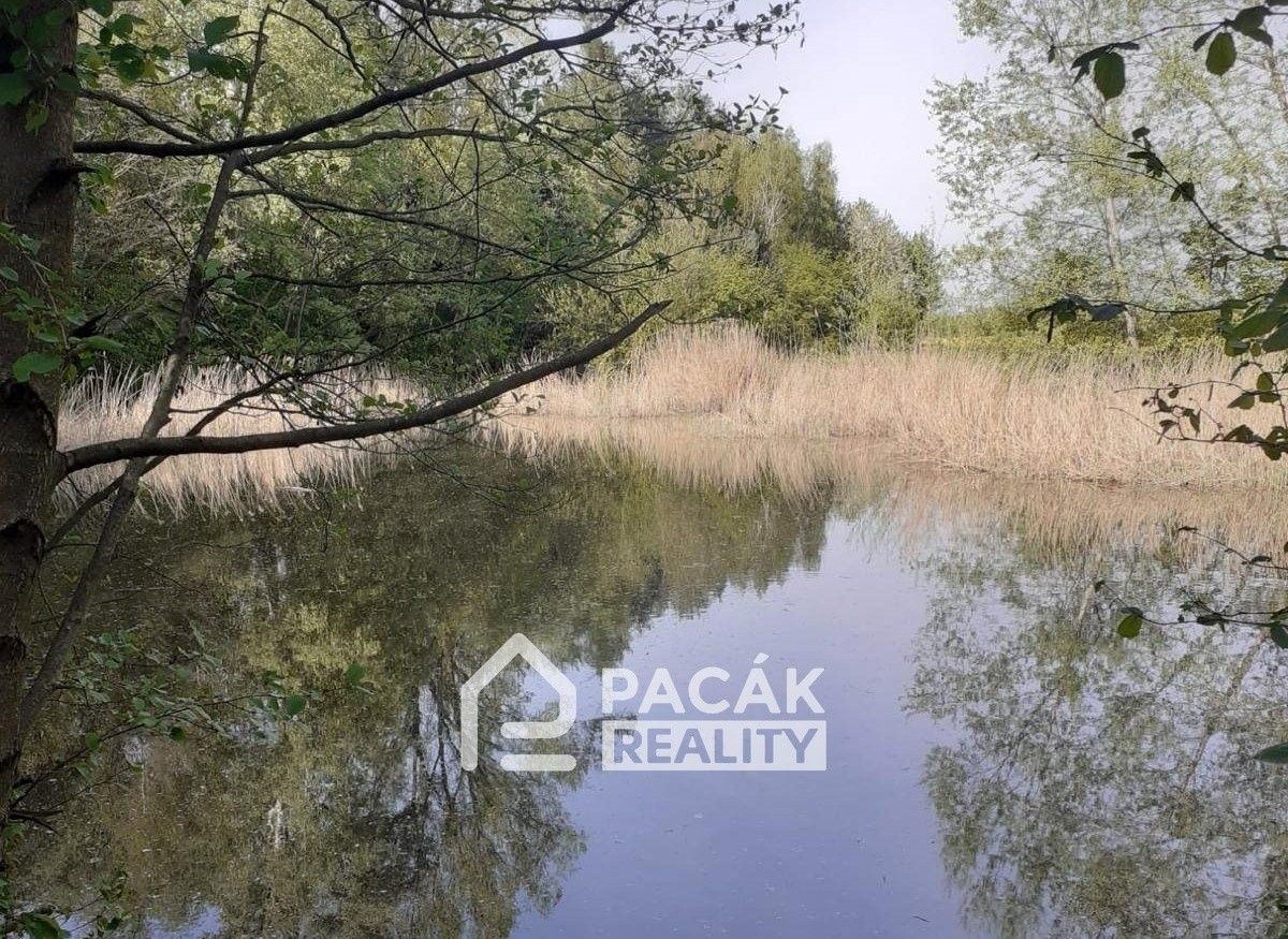 Prodej pozemku 15995 m² - foto 13
