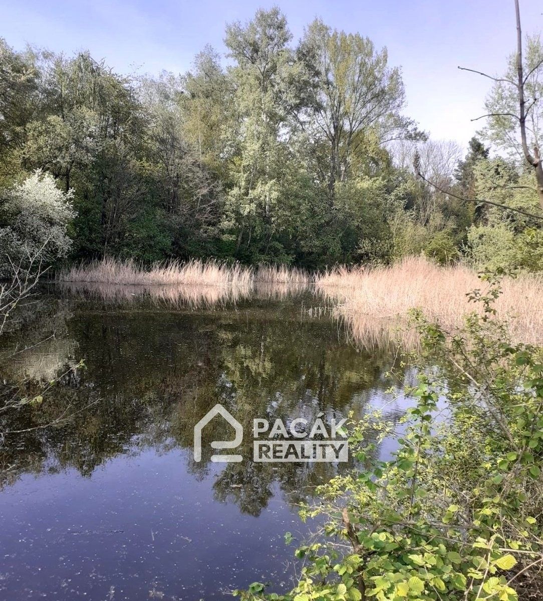 Prodej pozemku 15995 m² - foto 11