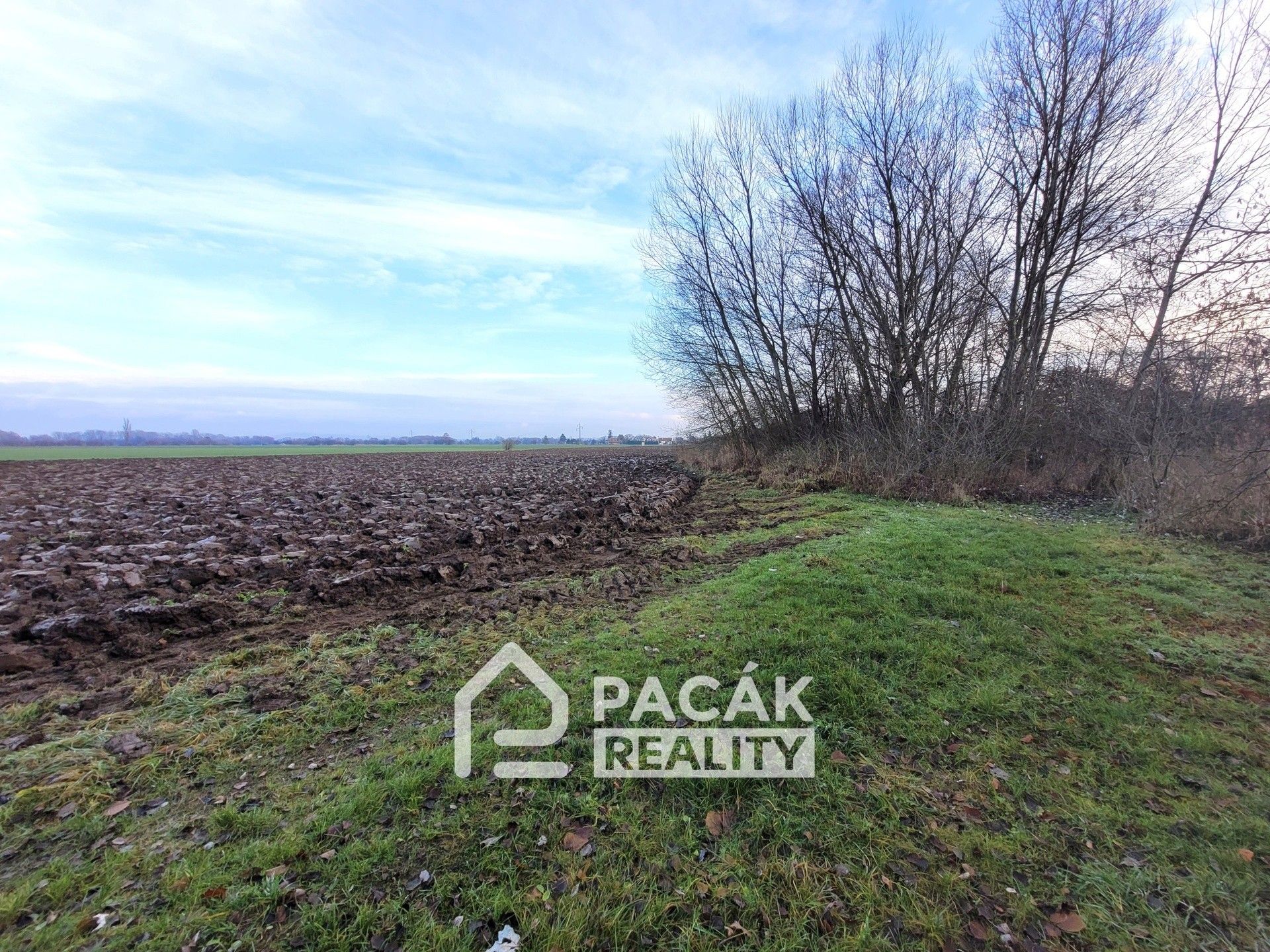 Prodej pozemku 15995 m² - foto 16