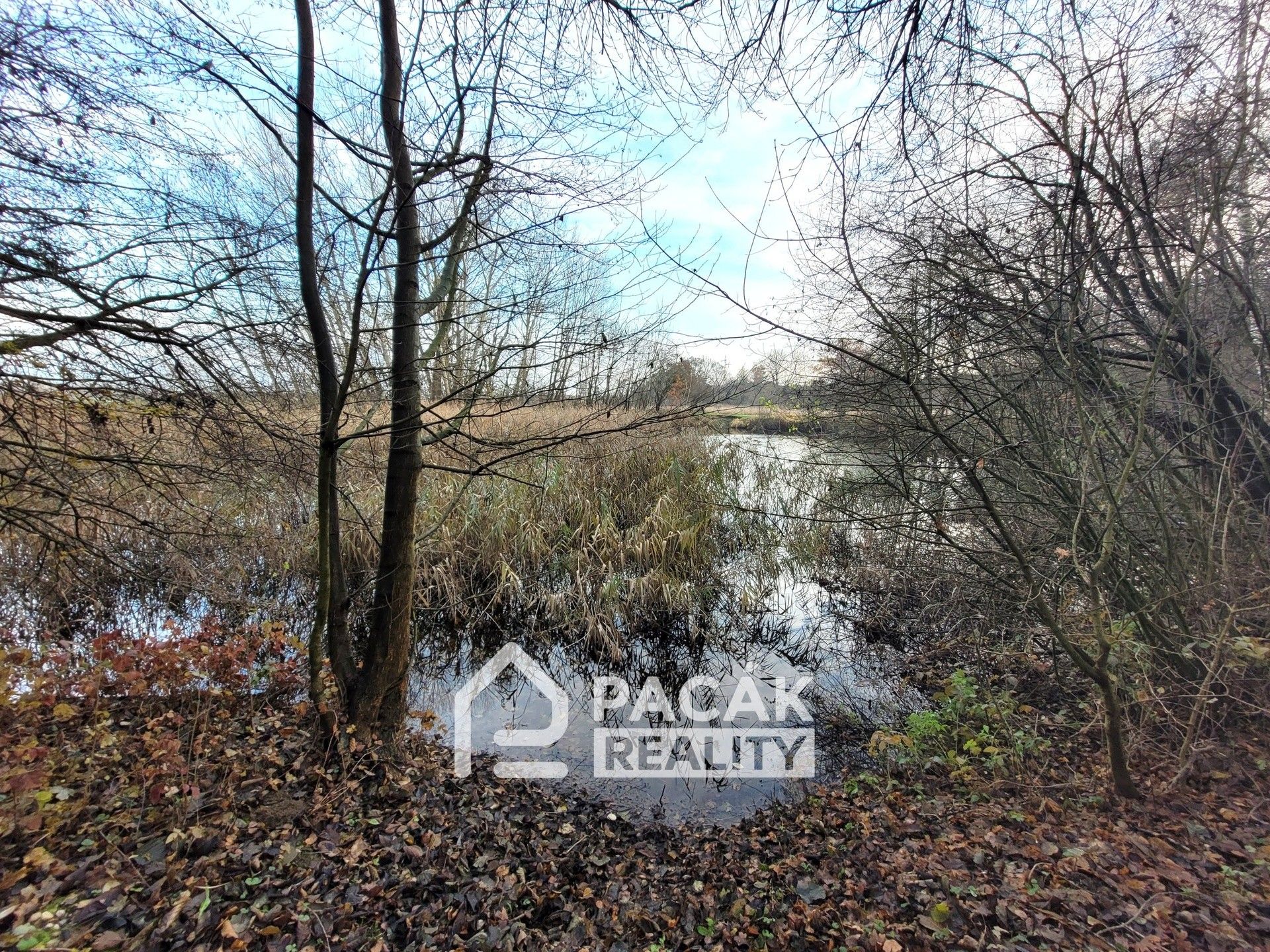 Prodej pozemku 15995 m² - foto 15