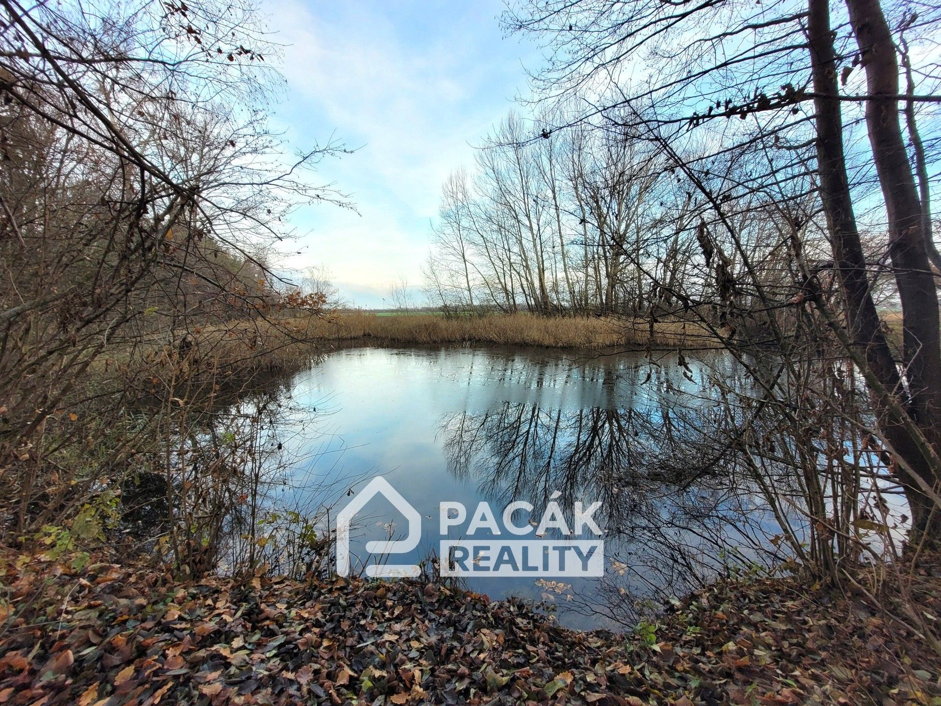Prodej pozemku 15995 m² - foto 10
