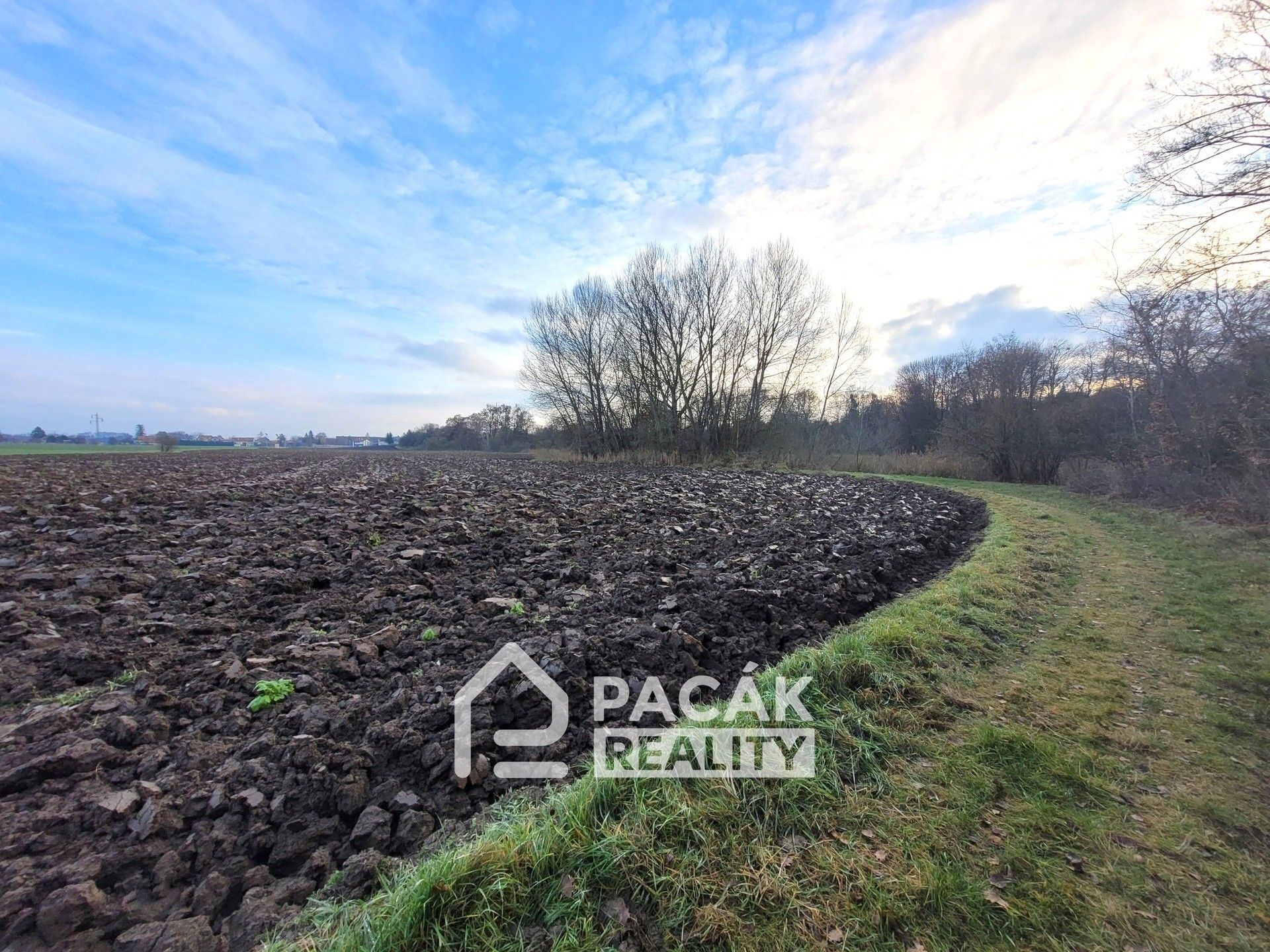 Prodej pozemku 15995 m² - foto 18