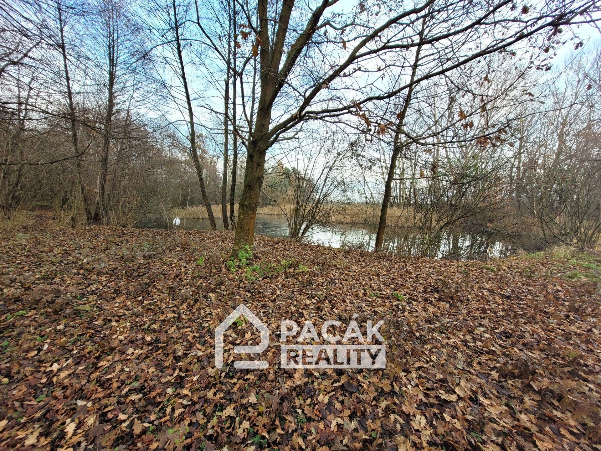 Prodej pozemku 15995 m² - foto 19