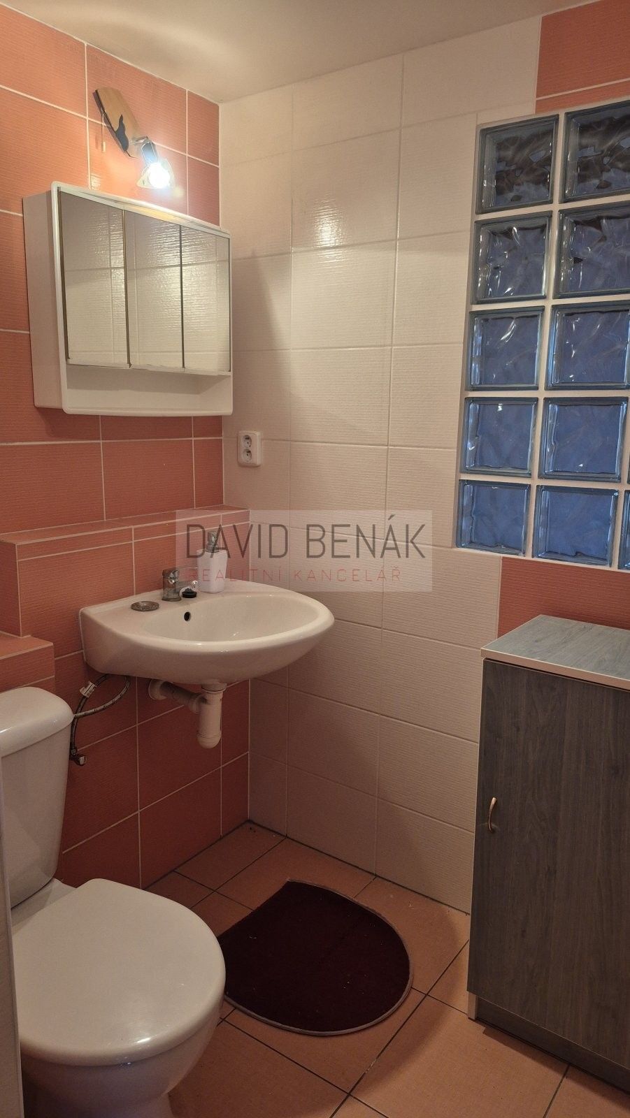 Pronájem bytu 2+1 50 m² - foto 10