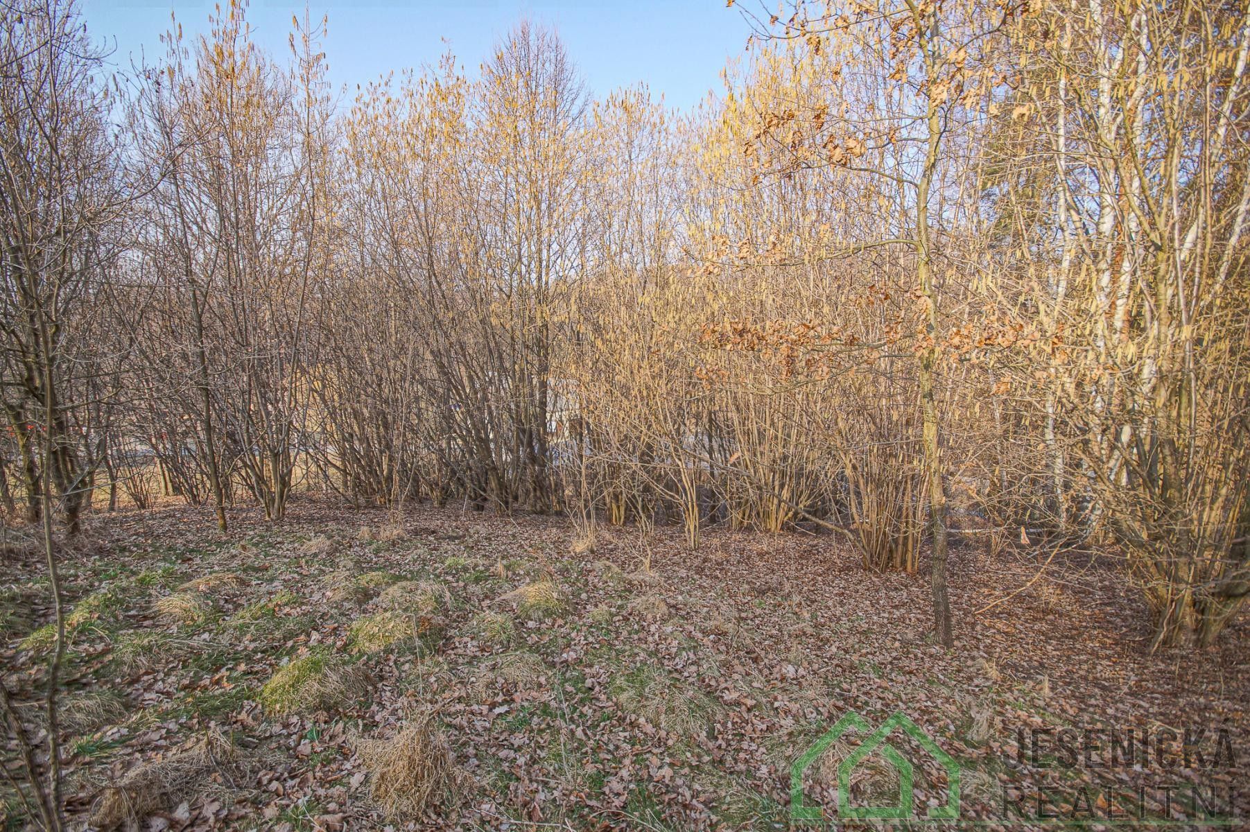 Prodej pozemku 15640 m² - foto 5
