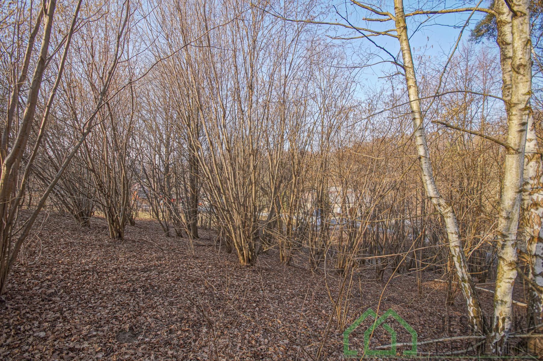 Prodej pozemku 15640 m² - foto 6