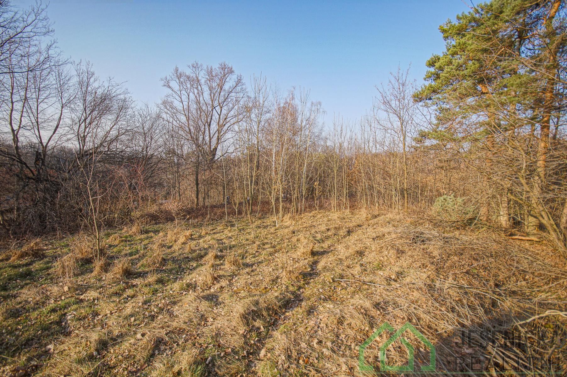 Prodej pozemku 15640 m² - foto 4