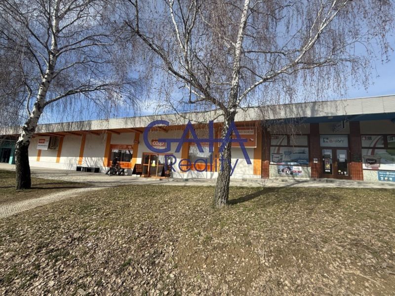Prodej komerčního prostoru 600 m² - foto 1