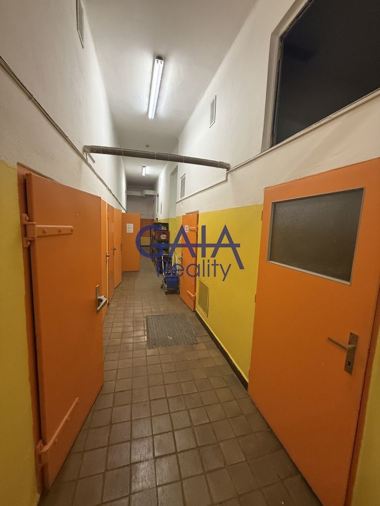 Prodej komerčního prostoru 600 m² - foto 10