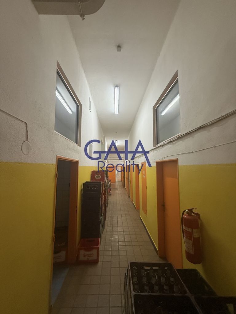 Prodej komerčního prostoru 600 m² - foto 15