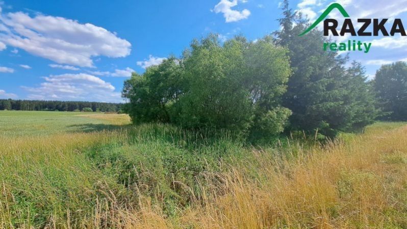 Prodej pozemku 393 m² - foto 4