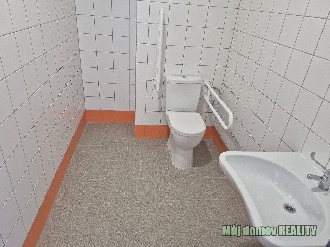 Pronájem komerčního prostoru 550 m² - foto 15