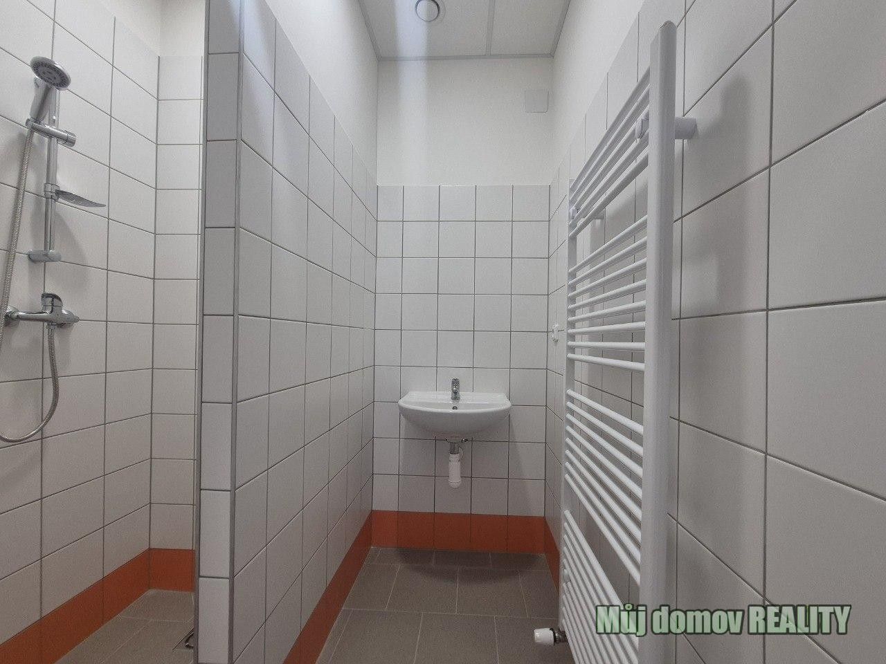 Pronájem komerčního prostoru 550 m² - foto 24