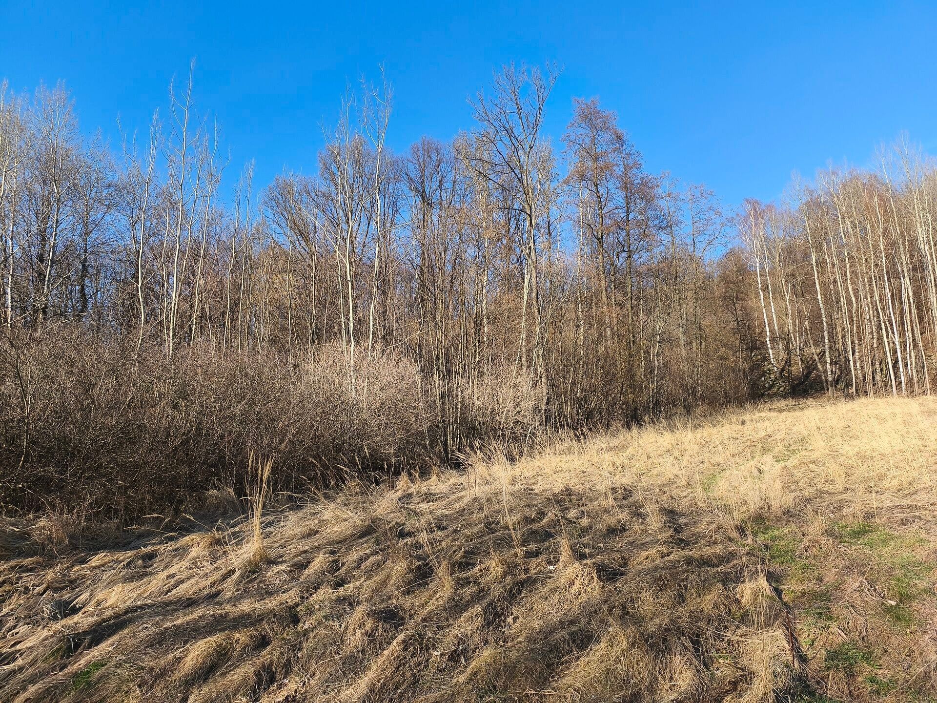 Prodej pozemku 2625 m² - foto 3