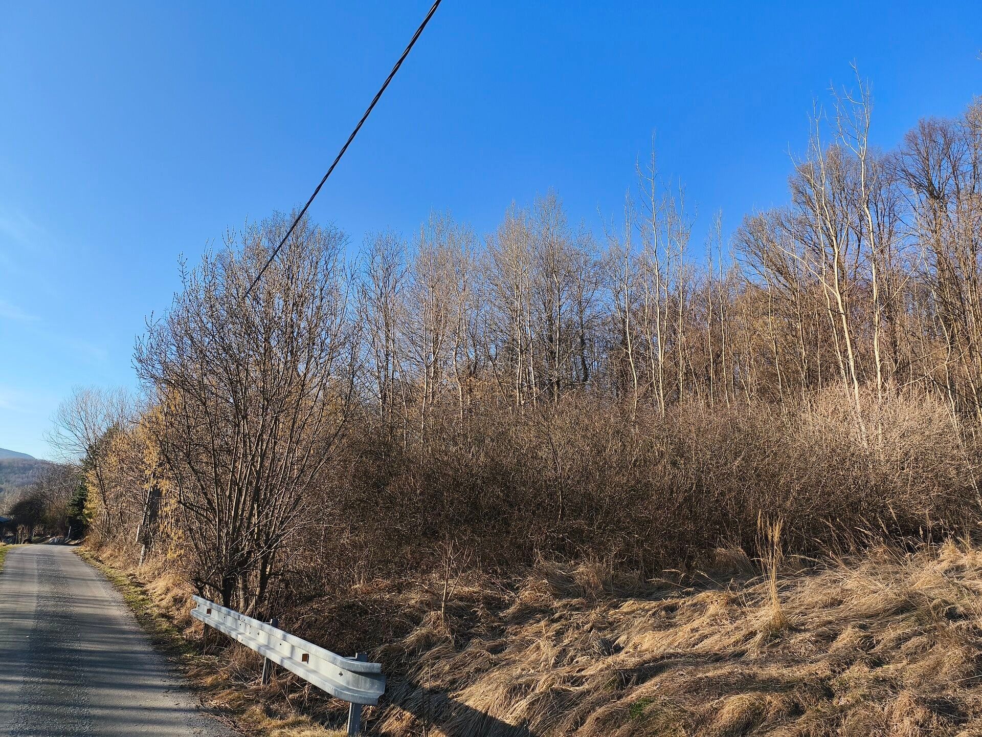 Prodej pozemku 2625 m² - foto 4