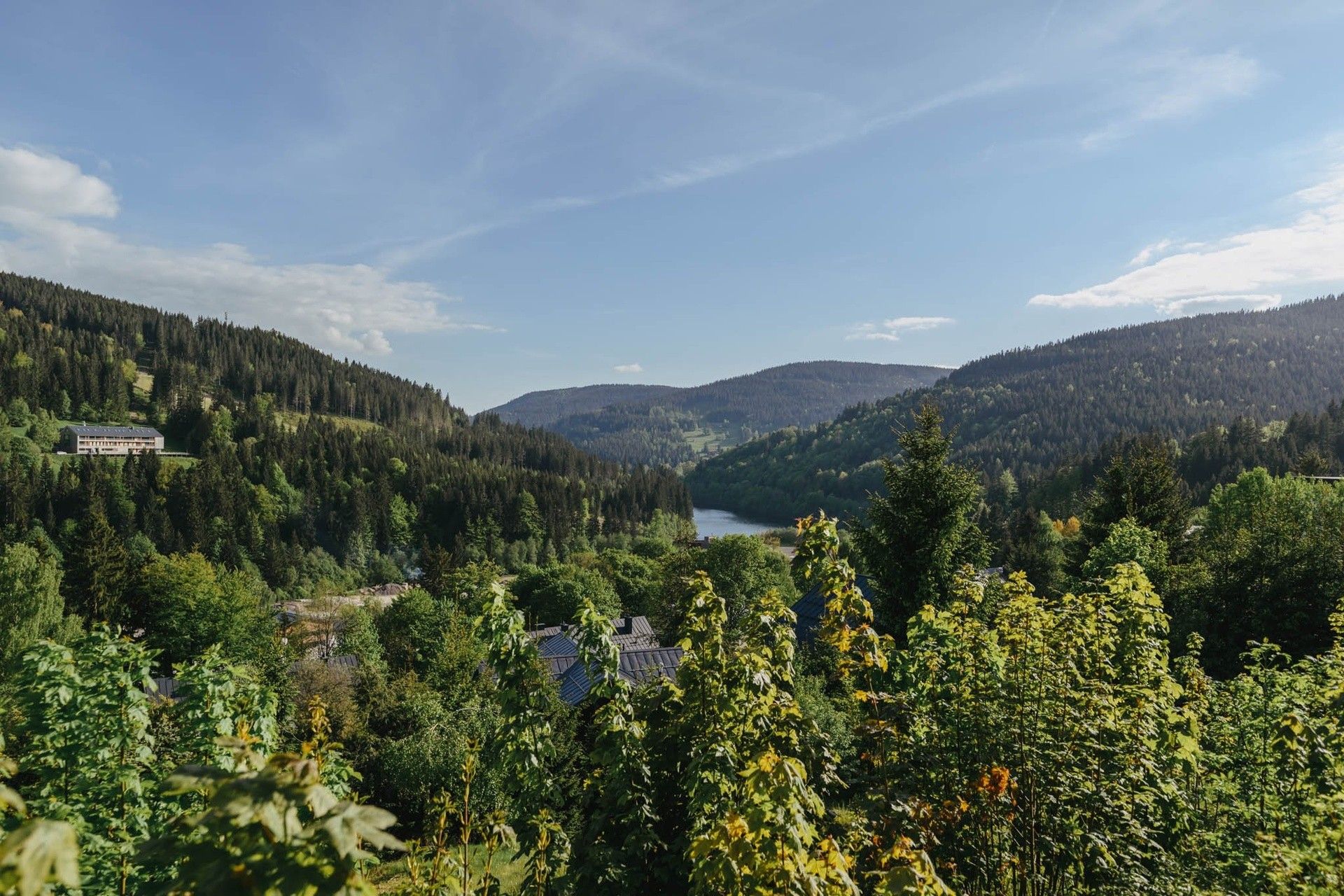 Prodej komerčního prostoru 40 m² - foto 20