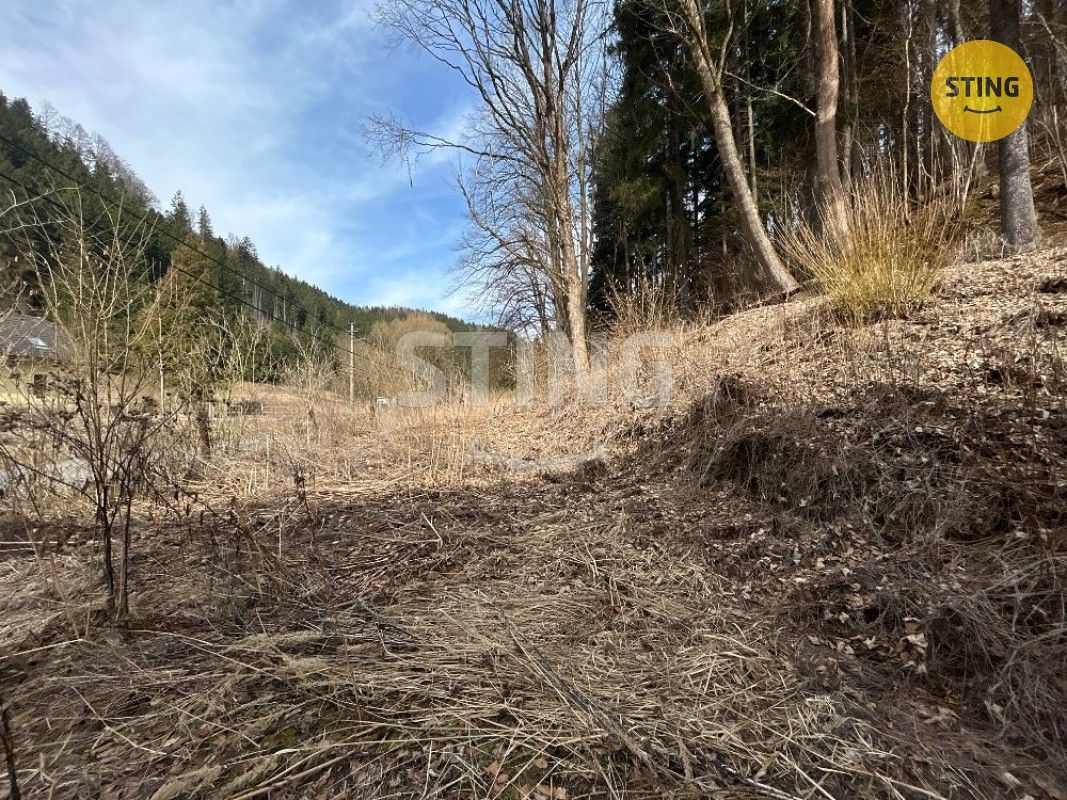 Prodej nemovitosti 700 m² - foto 16