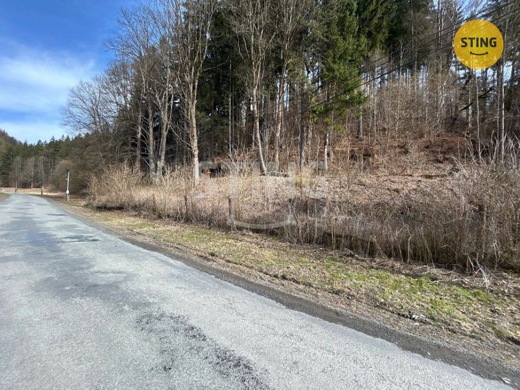 Prodej nemovitosti 700 m² - foto 17